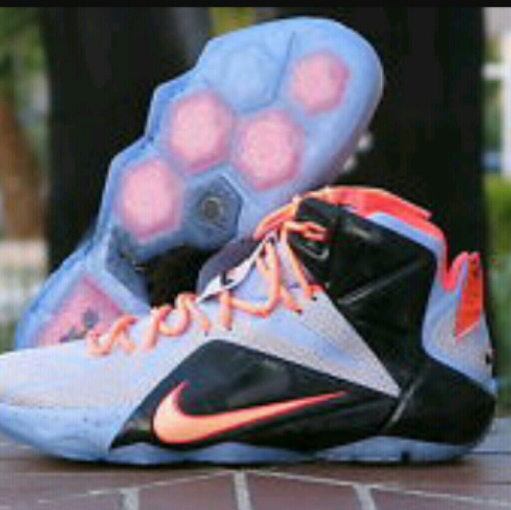Lebron Shoe